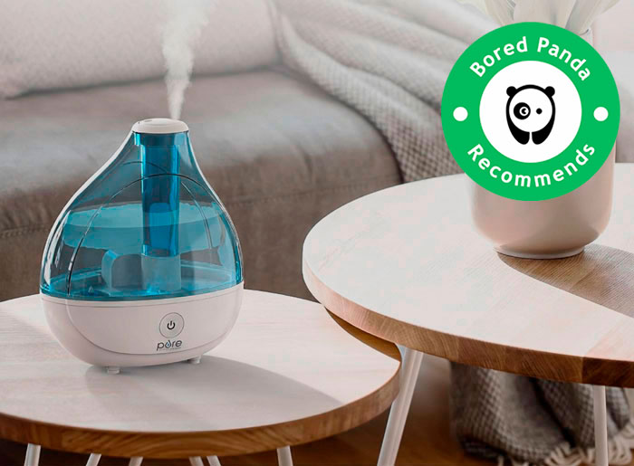 Best Humidifier In 2024 Ranked By People’s Reviews Bored Panda