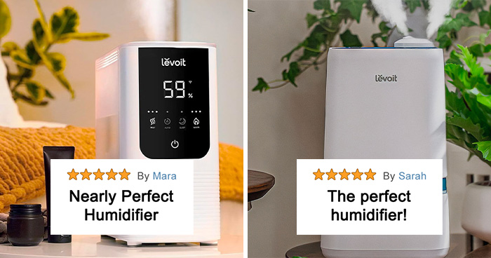 Best Humidifier In 2024 Ranked By People’s Reviews