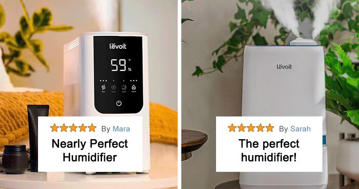 Best Humidifier In 2024 Ranked By People’s Reviews