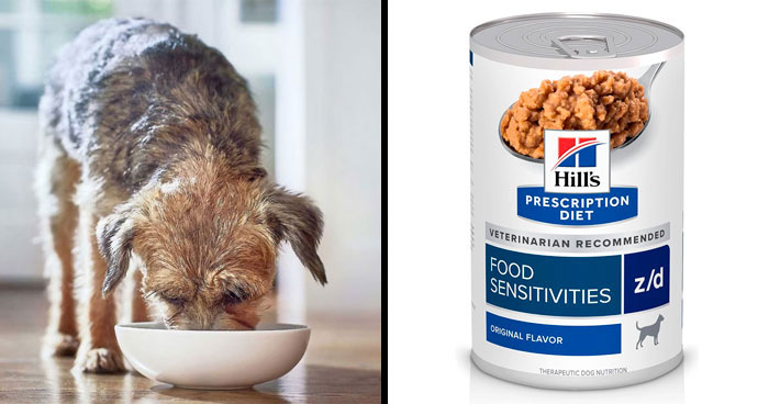 The Ultimate Guide: Top 10 Best Hydrolyzed Dog Food for Optimal Health