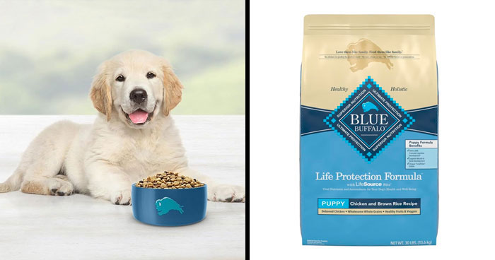 10 Best Puppy Foods for 2024 | Expert Recommendations for Your New Best Friend