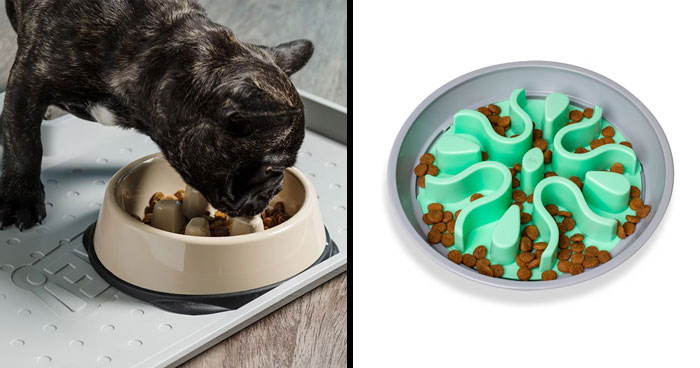 Top 10 Slow Feeder Dog Bowls for Healthier Eating – 2024 Reviews & Ratings