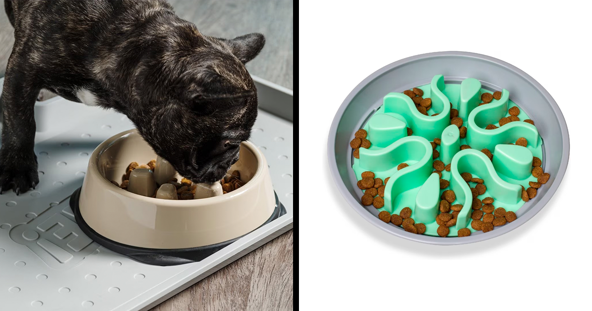 Snapshot of Best Slow Feeder For Dogs With Dental Issues Ratings