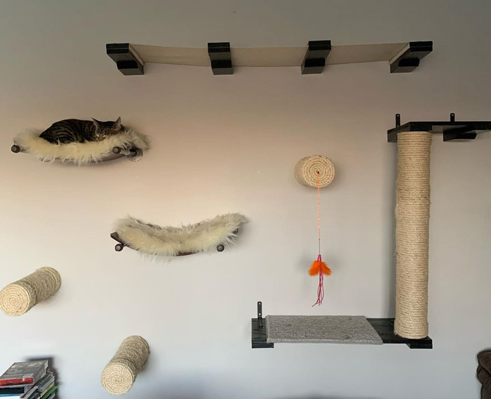 cat sleeping on the wall-mounted cat tree