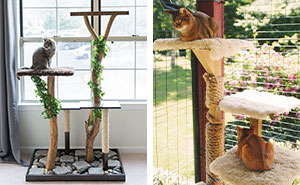 Build an Amazing DIY Cat Tree Tower: 7 Free Plans and Ideas