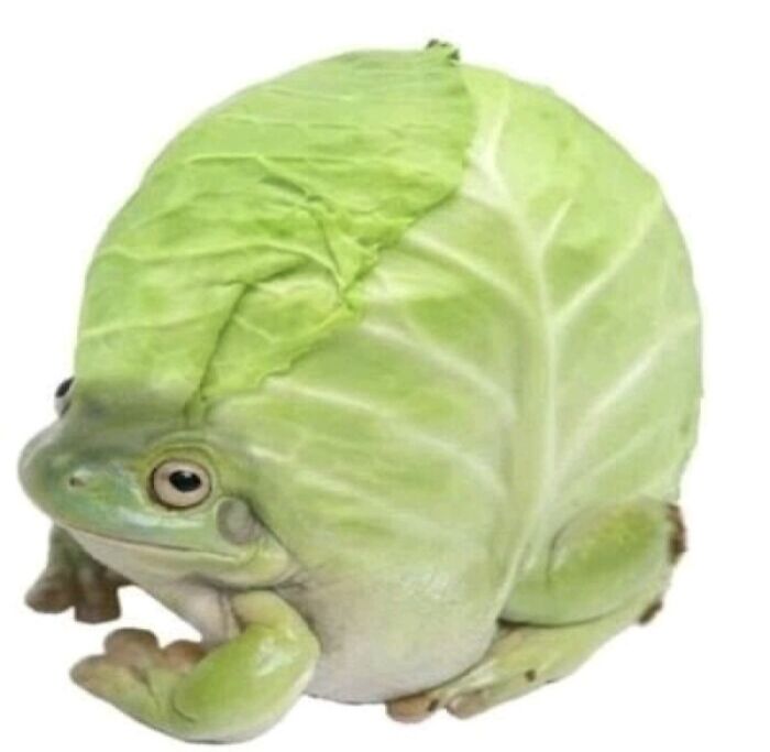 Cabbage Frog