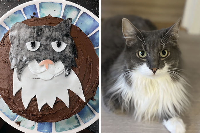 My Daughter Requested One Of Our Cats As Her Birthday Cake. It’s The First Birthday Cake I’ve Ever Made For Her (Cat Included For Comparison)