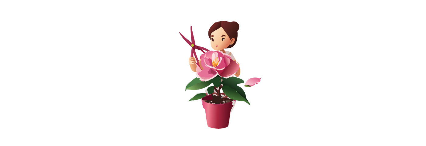 Woman pruning camellias flower illustration 