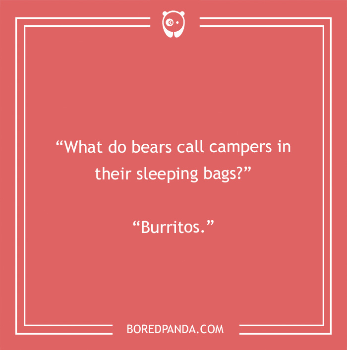 134 Camping Jokes That Are A Real Wild Ride Bored Panda