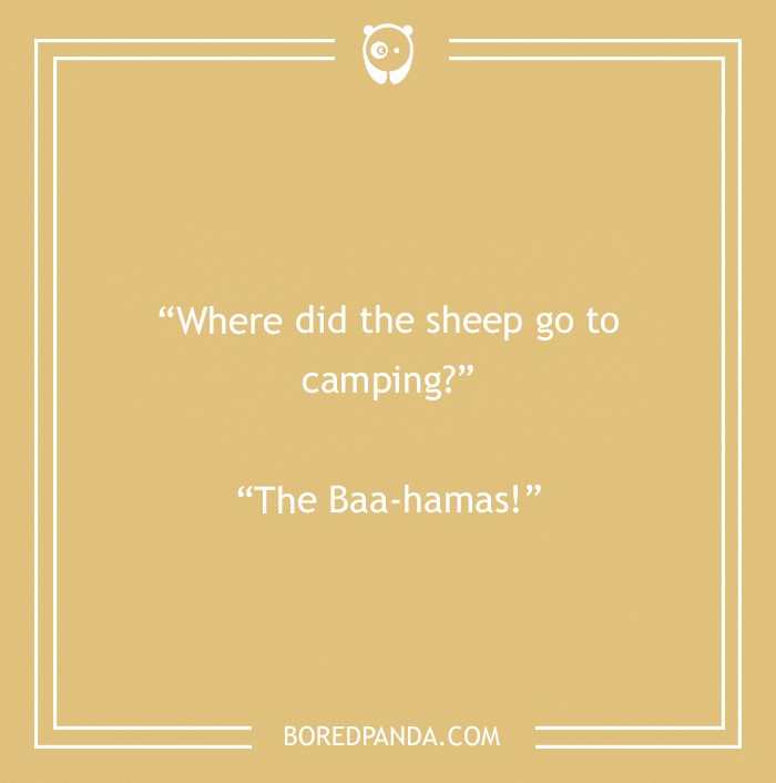 134 Camping Jokes That Are A Real Wild Ride