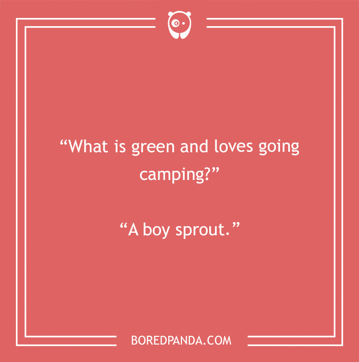 134 Camping Jokes That Are A Real Wild Ride