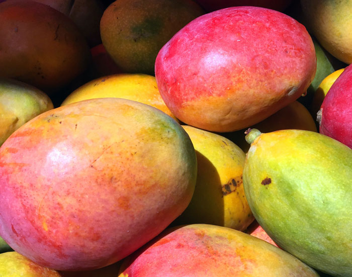 close up view of mango