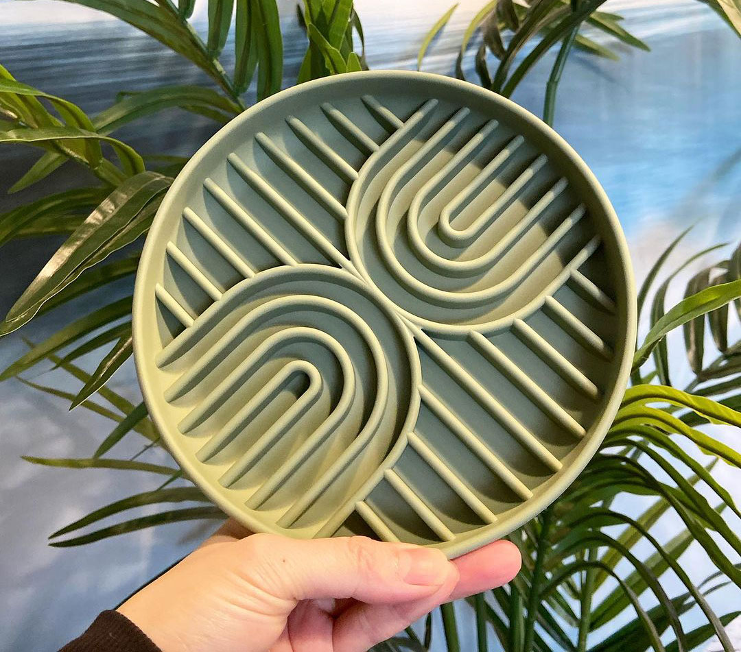 Hand holding a green cat food bowl designed to prevent throwing up undigested food, surrounded by plants.