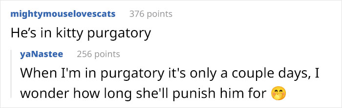 Guy Has To Endure Cat’s Pettiness When He Doesn’t Visit GF For A Month, Netizens Love It Guy Has To Endure Cat’s Pettiness When He Doesn’t Visit GF For A Month, Netizens Love It