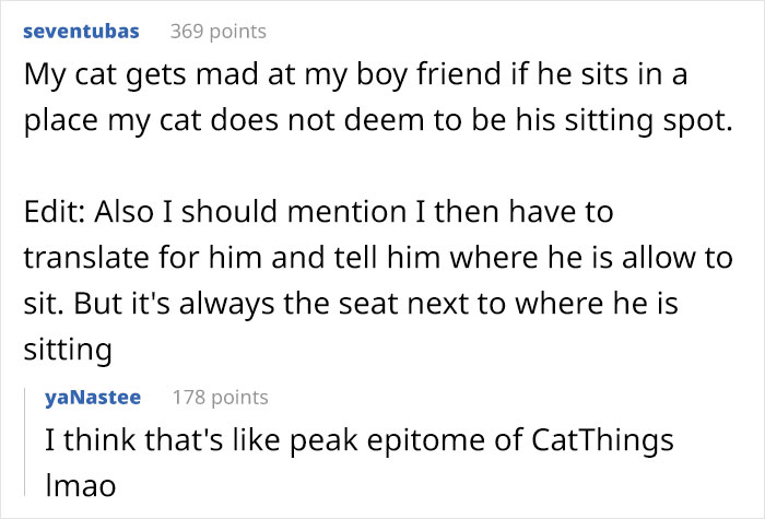 Guy Has To Endure Cat’s Pettiness When He Doesn’t Visit GF For A Month, Netizens Love It