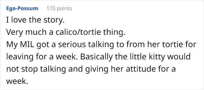 Guy Has To Endure Cat’s Pettiness When He Doesn’t Visit GF For A Month, Netizens Love It Guy Has To Endure Cat’s Pettiness When He Doesn’t Visit GF For A Month, Netizens Love It