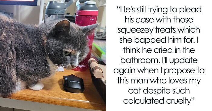 Guy Has To Endure Cat’s Pettiness When He Doesn’t Visit GF For A Month, Netizens Love It