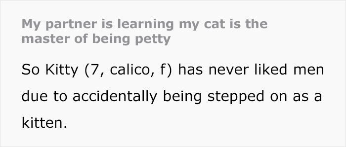 Guy Has To Endure Cat’s Pettiness When He Doesn’t Visit GF For A Month, Netizens Love It Guy Has To Endure Cat’s Pettiness When He Doesn’t Visit GF For A Month, Netizens Love It