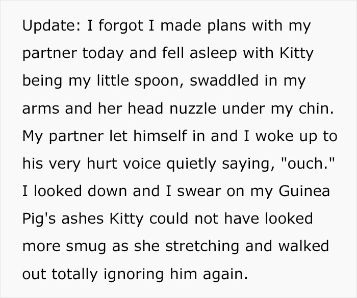 Guy Has To Endure Cat’s Pettiness When He Doesn’t Visit GF For A Month, Netizens Love It Guy Has To Endure Cat’s Pettiness When He Doesn’t Visit GF For A Month, Netizens Love It