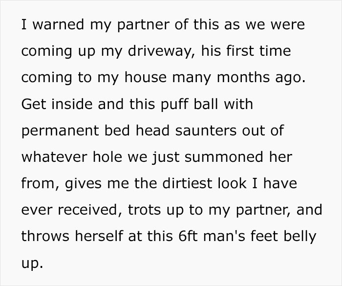 Guy Has To Endure Cat’s Pettiness When He Doesn’t Visit GF For A Month, Netizens Love It Guy Has To Endure Cat’s Pettiness When He Doesn’t Visit GF For A Month, Netizens Love It