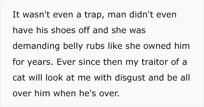 Guy Has To Endure Cat’s Pettiness When He Doesn’t Visit GF For A Month, Netizens Love It Guy Has To Endure Cat’s Pettiness When He Doesn’t Visit GF For A Month, Netizens Love It