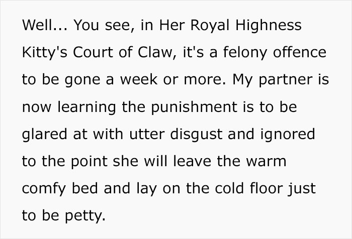 Guy Has To Endure Cat’s Pettiness When He Doesn’t Visit GF For A Month, Netizens Love It Guy Has To Endure Cat’s Pettiness When He Doesn’t Visit GF For A Month, Netizens Love It