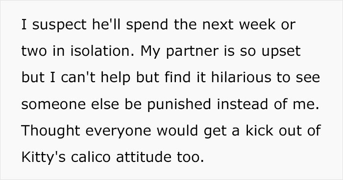 Guy Has To Endure Cat’s Pettiness When He Doesn’t Visit GF For A Month, Netizens Love It Guy Has To Endure Cat’s Pettiness When He Doesn’t Visit GF For A Month, Netizens Love It