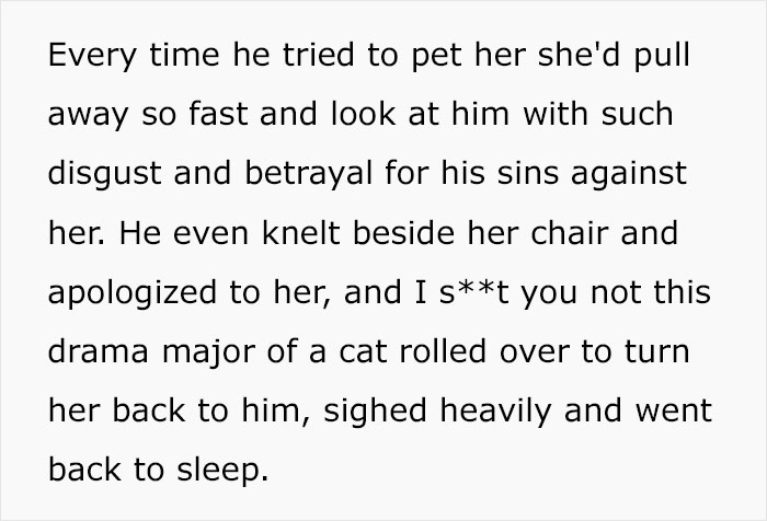 Guy Has To Endure Cat’s Pettiness When He Doesn’t Visit GF For A Month, Netizens Love It Guy Has To Endure Cat’s Pettiness When He Doesn’t Visit GF For A Month, Netizens Love It