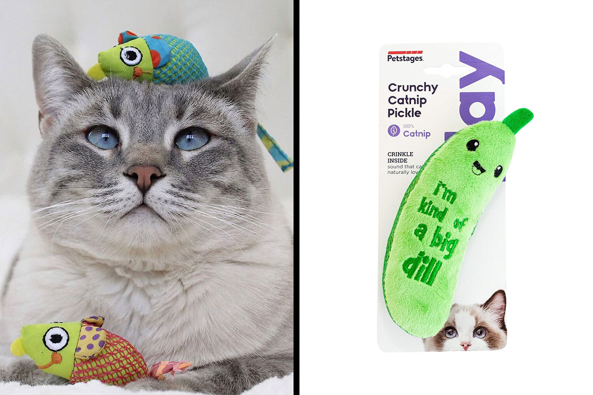 Top 10 Best Cat Chew Toys For Happy
