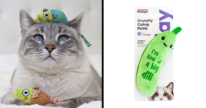 Top 10 Best Cat Chew Toys for Happy, Healthy Kitties