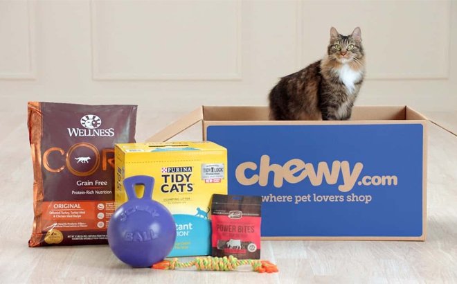 Cat with Chewy.com box and products, highlighting transition to adult cat food. Cat with Chewy.com box and products, highlighting transition to adult cat food.