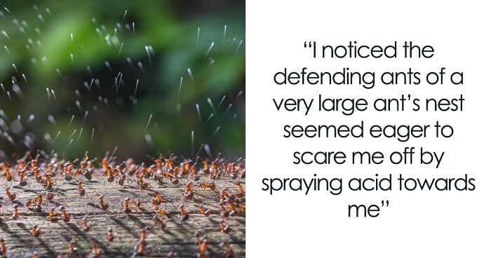 The Winners Of The 2023 Close-Up Photographer Of The Year Awards Have Just Been Revealed (33 Pics)