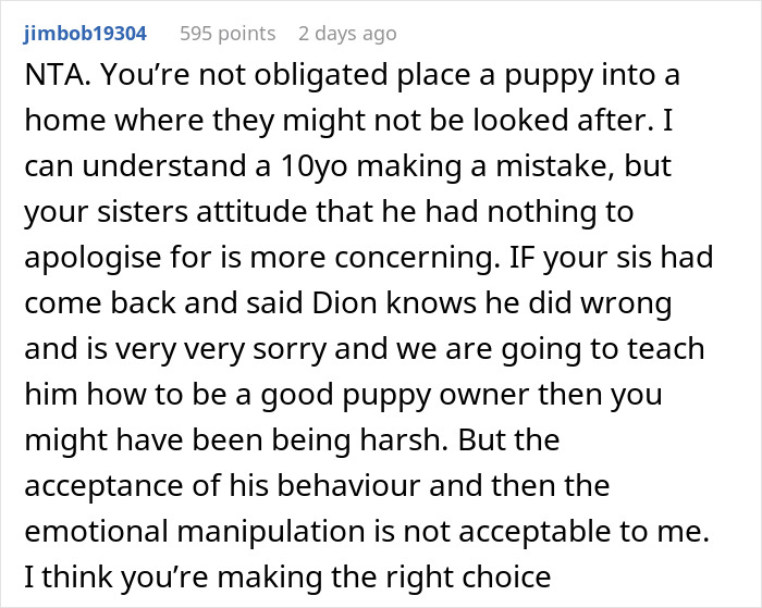 Woman Changes Her Mind About Giving A Puppy To Nephew When He Tries To Steal It, Asks If It’s Wrong