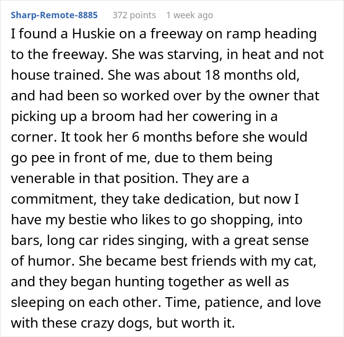 “I Dropped My MIL’s Dog Off As A Stray At A Shelter, And I Don’t Feel Bad” “I Dropped My MIL’s Dog Off As A Stray At A Shelter, And I Don’t Feel Bad”