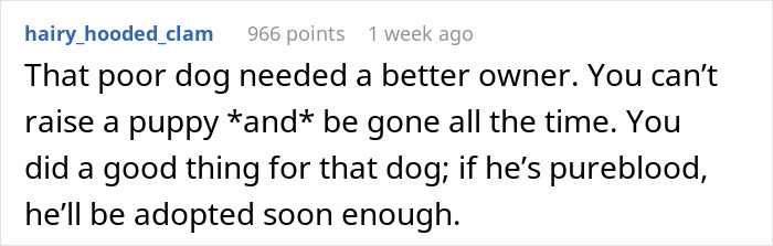 “I Dropped My MIL’s Dog Off As A Stray At A Shelter, And I Don’t Feel Bad” “I Dropped My MIL’s Dog Off As A Stray At A Shelter, And I Don’t Feel Bad”