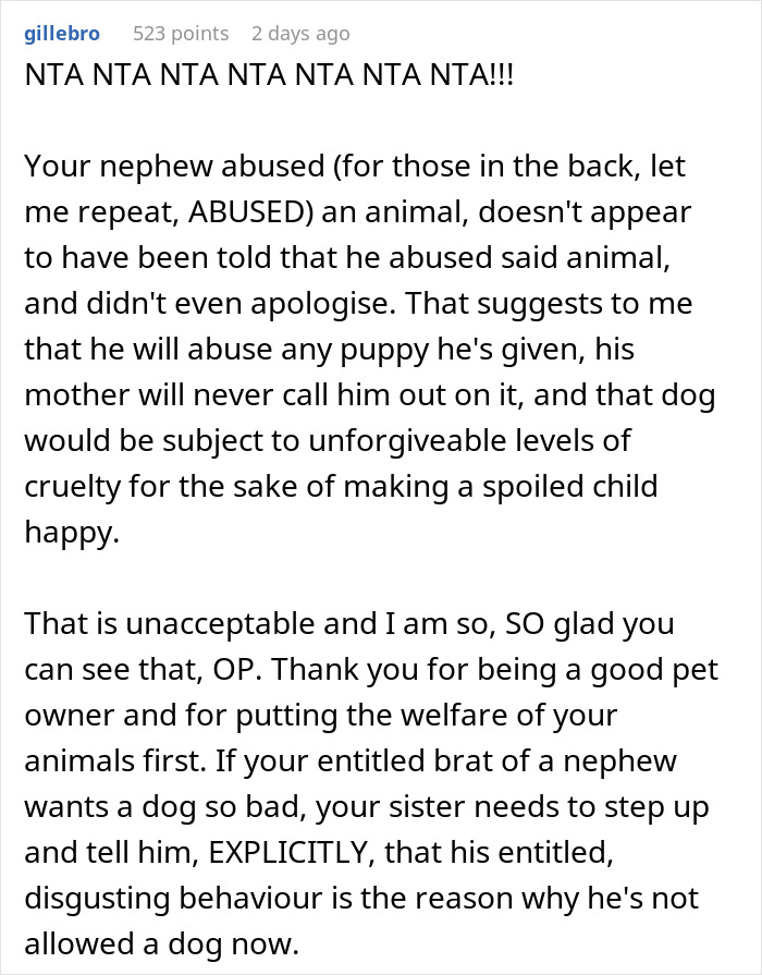 Woman Changes Her Mind About Giving A Puppy To Nephew When He Tries To Steal It, Asks If It’s Wrong