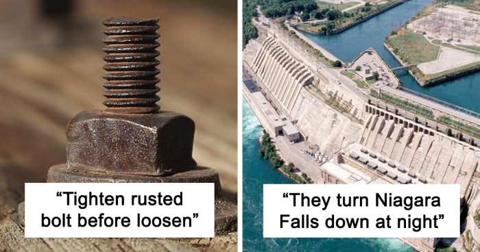 Someone Asked Folks To Share The Best Fact They’ve Ever Heard, Here Are The 35 Most Interesting