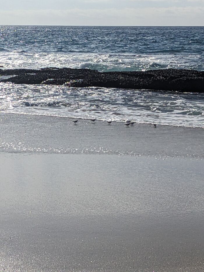 1000 Steps ( San Juan, California)