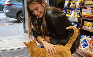 We Capture The Heart Of NYC Through Photos Of Bodega Cats