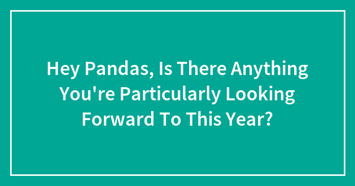 Hey Pandas, Is There Anything You’re Particularly Looking Forward To This Year? (Closed)