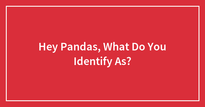Hey Pandas, What Do You Identify As? (Closed)