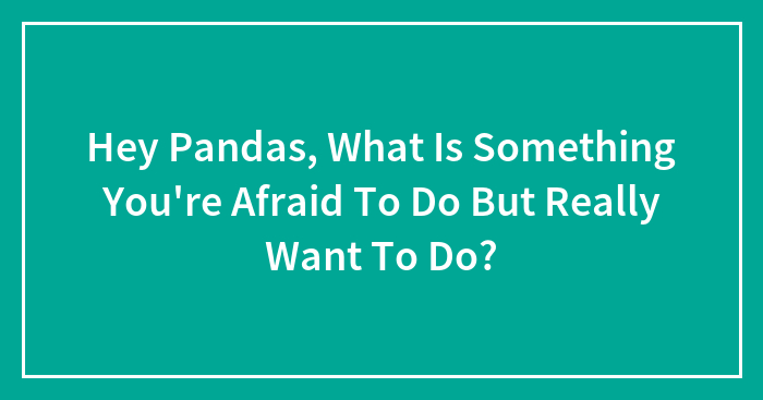 Hey Pandas, What Is Something You’re Afraid To Do But Really Want To Do? (Closed)