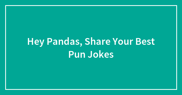 Hey Pandas, Share Your Best Pun Jokes (Closed)