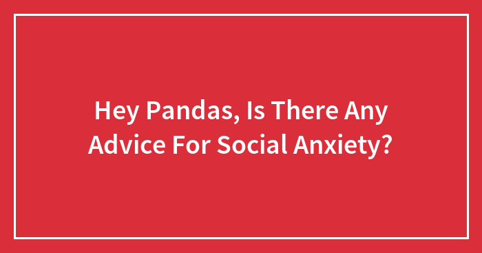 Hey Pandas, Is There Any Advice For Social Anxiety? (Closed)