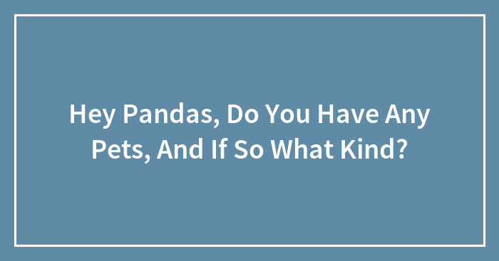 Hey Pandas, Do You Have Any Pets, And If So What Kind? (Closed)