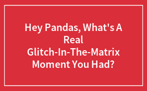Hey Pandas, What's A Real Glitch-In-The-Matrix Moment You Had?