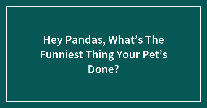 Hey Pandas, What’s The Funniest Thing Your Pet’s Done? (Closed)