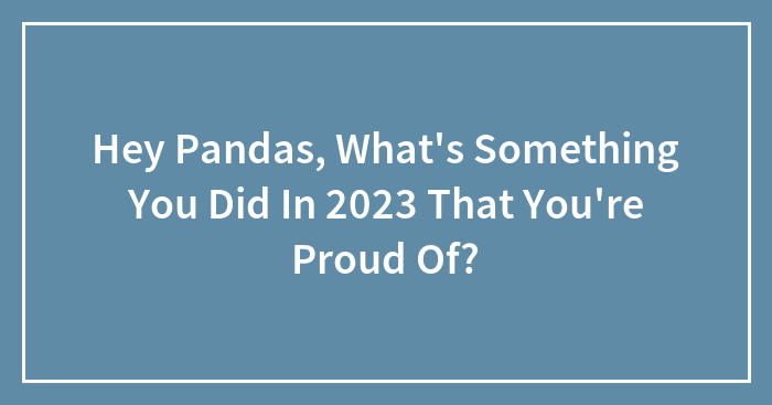 Hey Pandas, What’s Something You Did In 2023 That You’re Proud Of? (Closed)