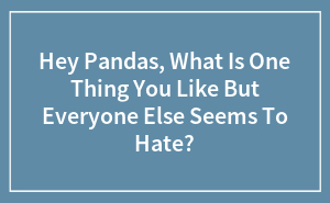 Hey Pandas, What Is One Thing You Like But Everyone Else Seems To Hate?