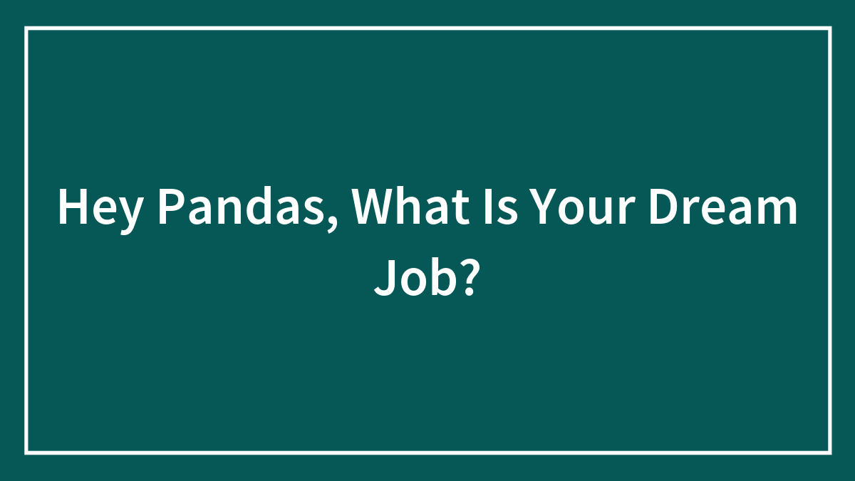 Hey Pandas, What Is Your Dream Job?